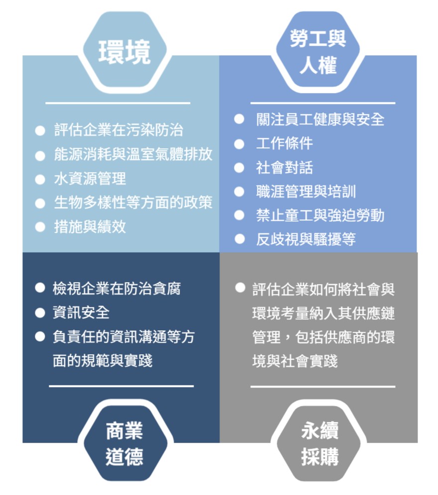 EcoVadis 永續評鑑 核心、準則