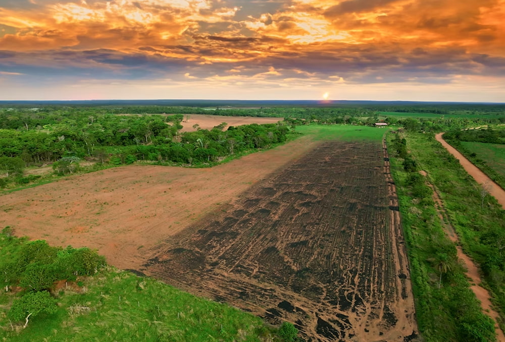 ▲ 微軟今年５月與 Exomad Green 簽下全球最大生物炭碳去除協議，將在十年內透過生物炭永久封存二氧化碳。　圖片來源：Exomad Green