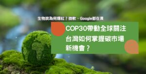 生物炭為何爆紅？微軟、Google都在買，COP30帶動全球關注，台灣如何掌握碳市場新機會？
