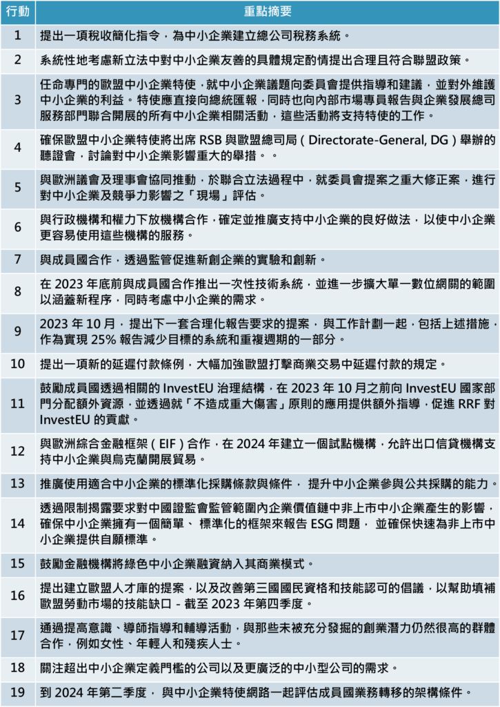 VSME 的行動藍圖